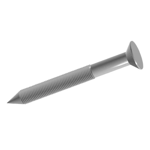 Kuku cincin anulus
