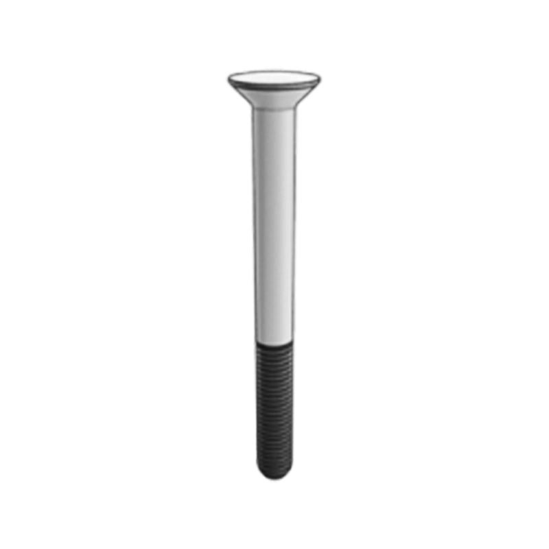DIN529 Jenis G Anchor Bolt