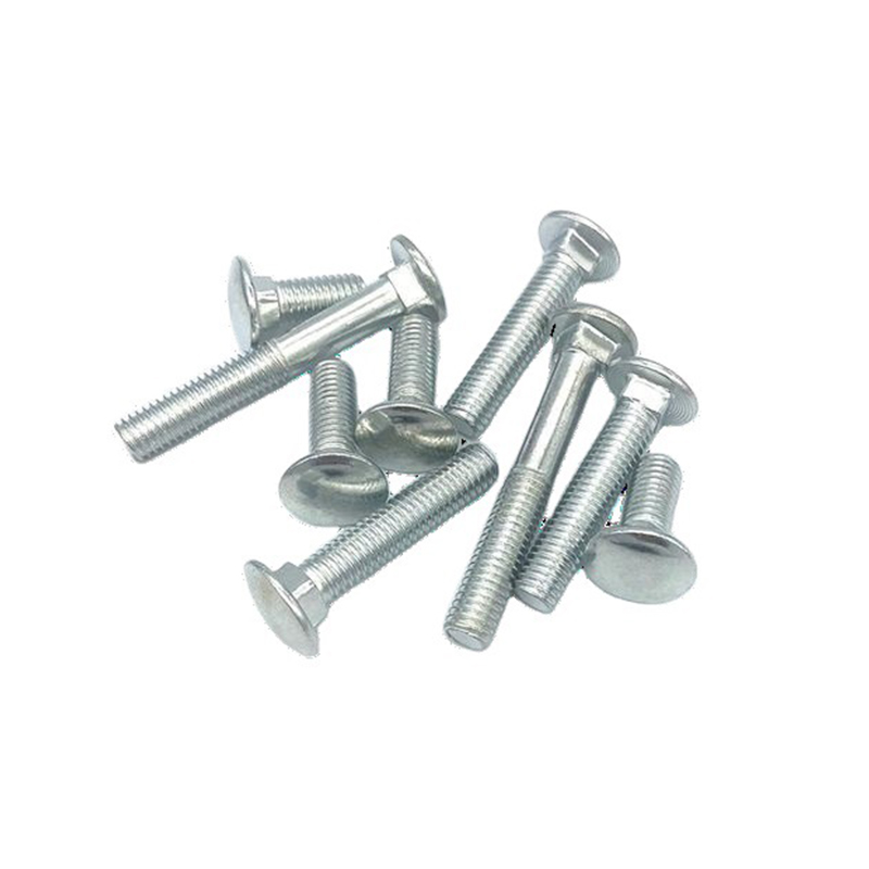 Bolt trek leher elips