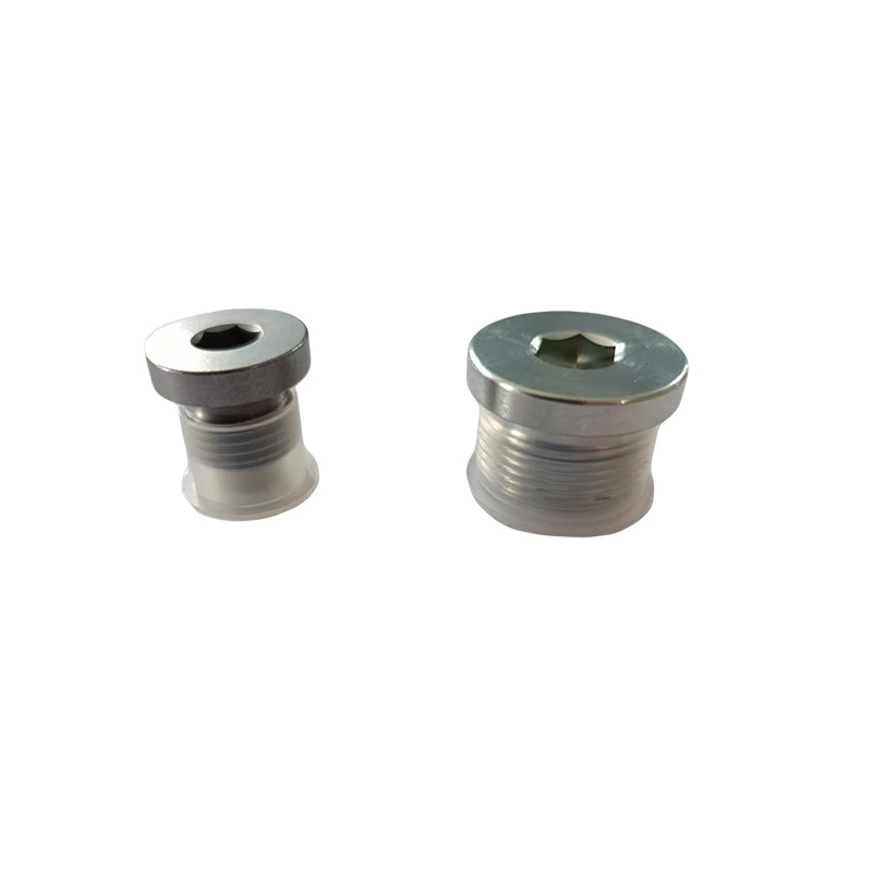 Countersunk Hollow Hex Plug with Seal