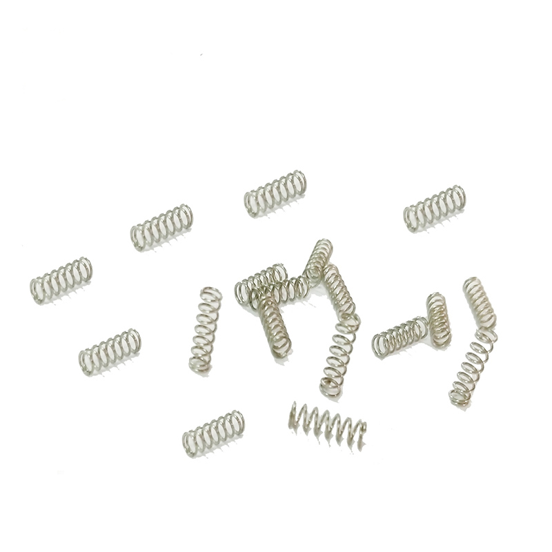 Musim bunga berbasikal panjang