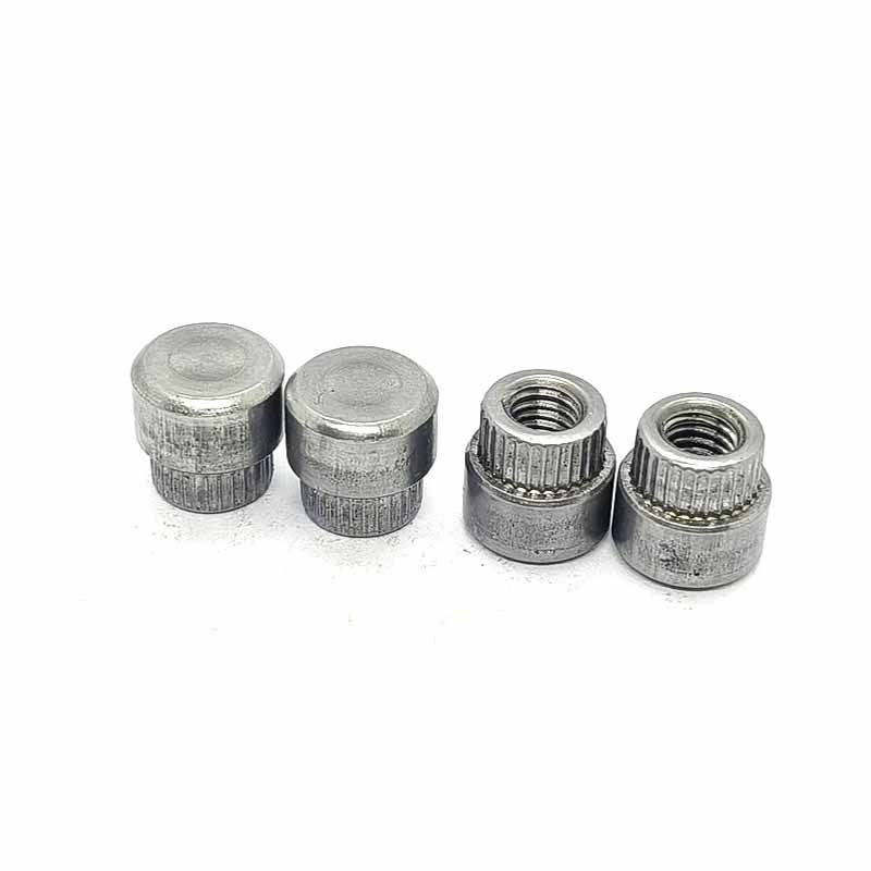 Bush rivet bulat diri